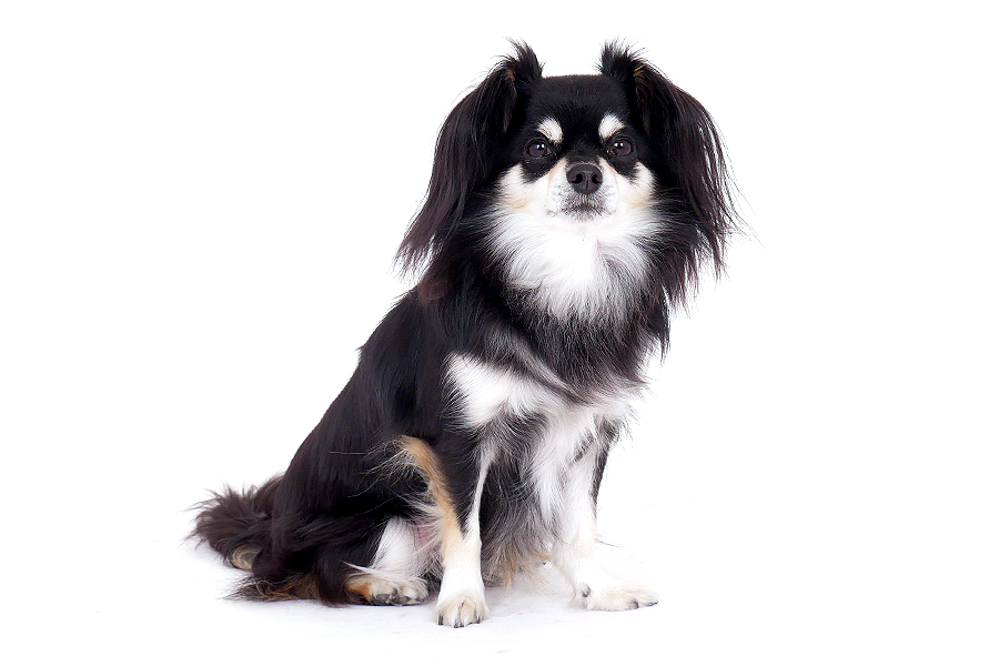 きーと イメージ