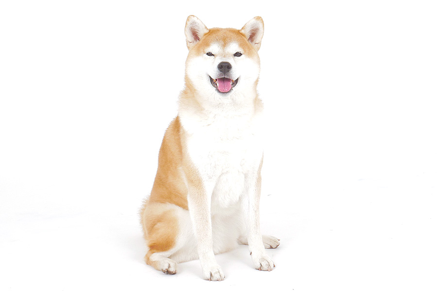 Sora★（そら） イメージ