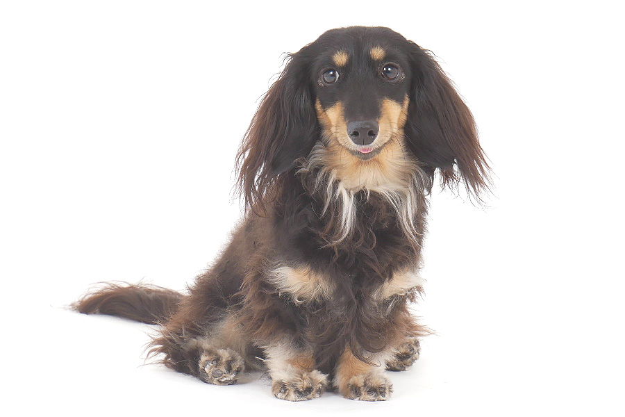 ルクア イメージ