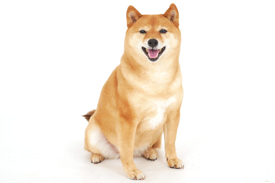 なな イメージ