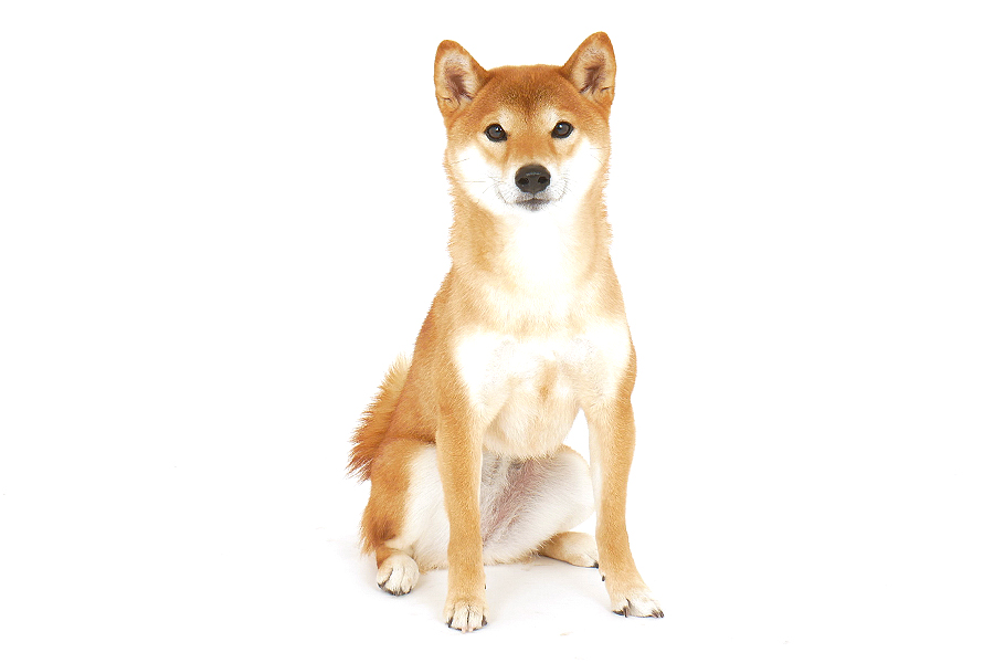 なな イメージ