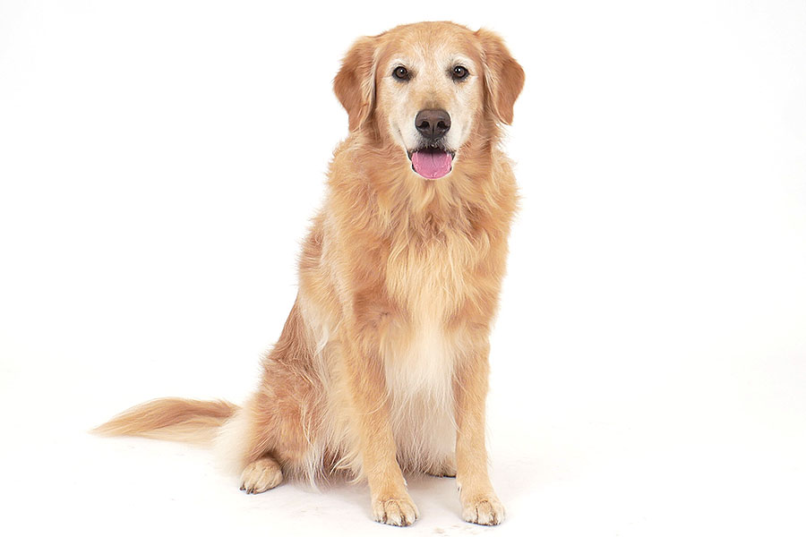 エリー イメージ