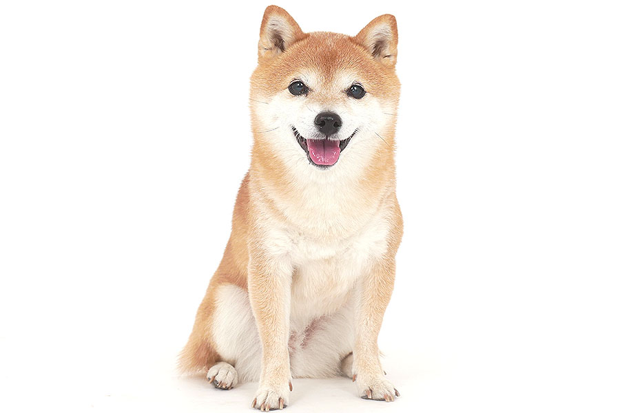 くるみ イメージ