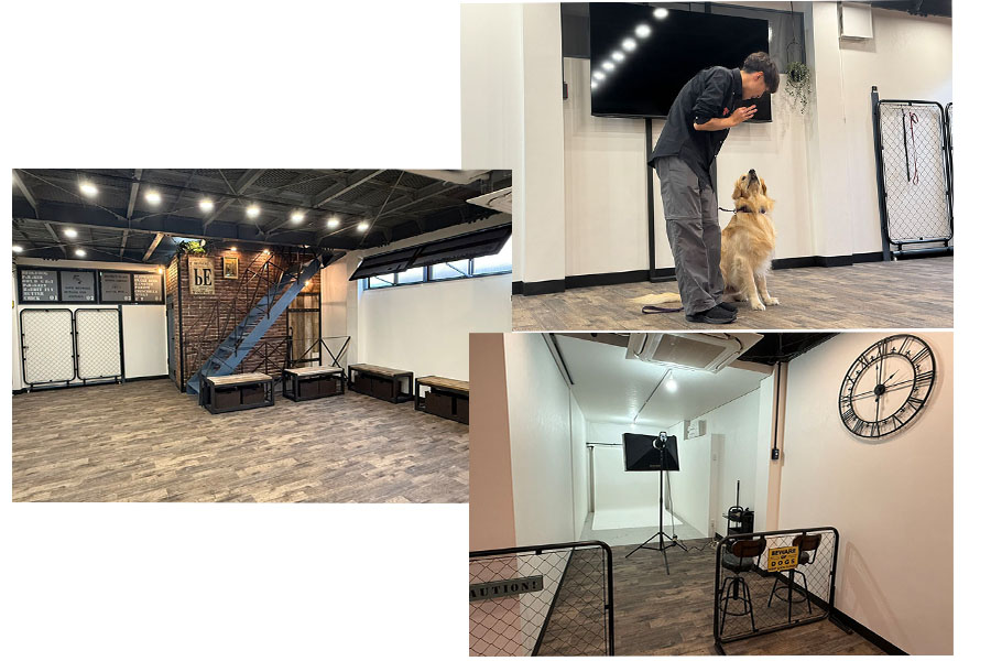 アニマルプロアカデミー