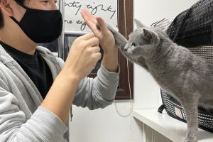 ミントさんとまたまた撮影