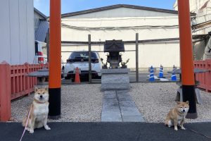 しばし、しばしば