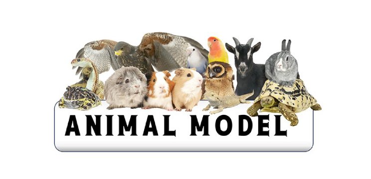 タレント動物紹介