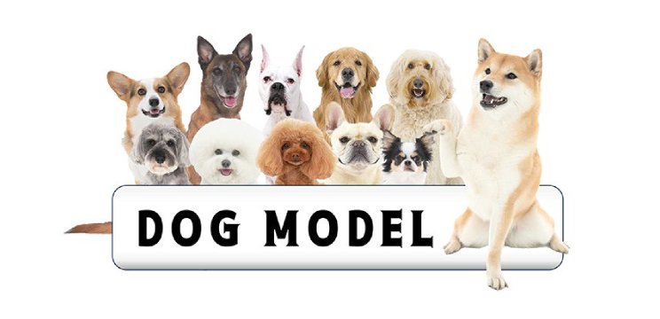 タレント犬紹介